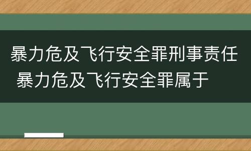 暴力危及飞行安全罪刑事责任 暴力危及飞行安全罪属于