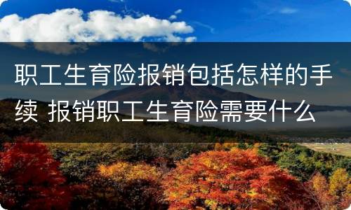 职工生育险报销包括怎样的手续 报销职工生育险需要什么