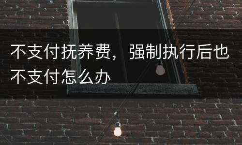 不支付抚养费，强制执行后也不支付怎么办