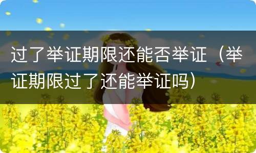 过了举证期限还能否举证（举证期限过了还能举证吗）