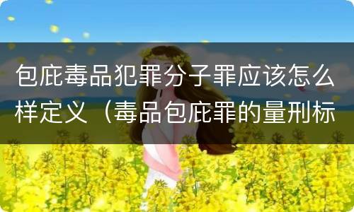 包庇毒品犯罪分子罪应该怎么样定义（毒品包庇罪的量刑标准）