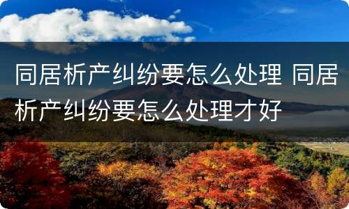 同居析产纠纷要怎么处理 同居析产纠纷要怎么处理才好