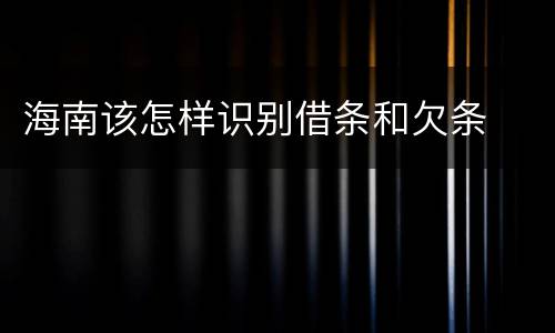 海南该怎样识别借条和欠条