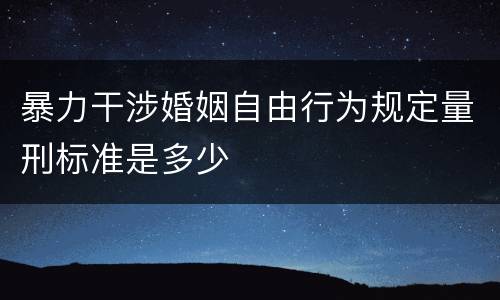 暴力干涉婚姻自由行为规定量刑标准是多少