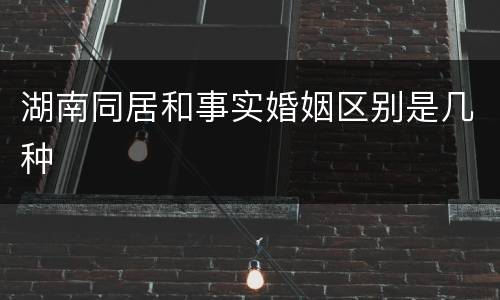 湖南同居和事实婚姻区别是几种