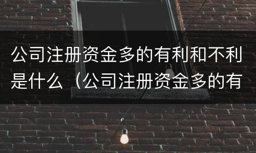 公司注册资金多的有利和不利是什么（公司注册资金多的有利和不利是什么意思）