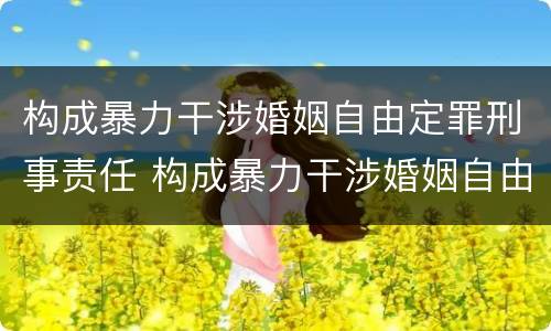 构成暴力干涉婚姻自由定罪刑事责任 构成暴力干涉婚姻自由定罪刑事责任案例