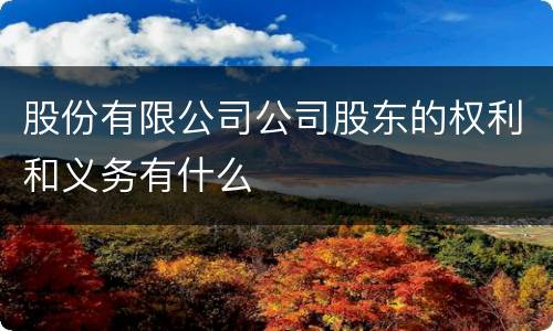 股份有限公司公司股东的权利和义务有什么