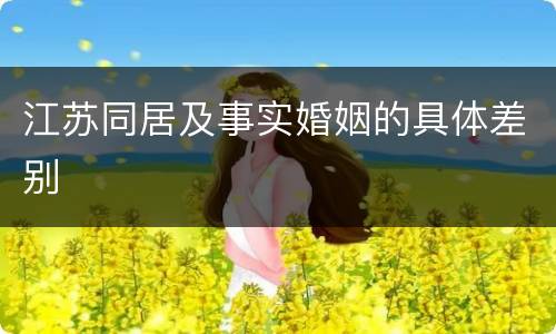 江苏同居及事实婚姻的具体差别