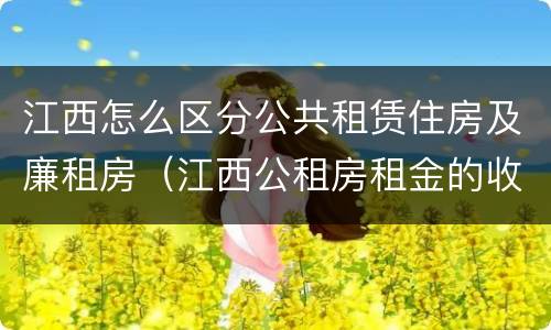 江西怎么区分公共租赁住房及廉租房（江西公租房租金的收费标准）