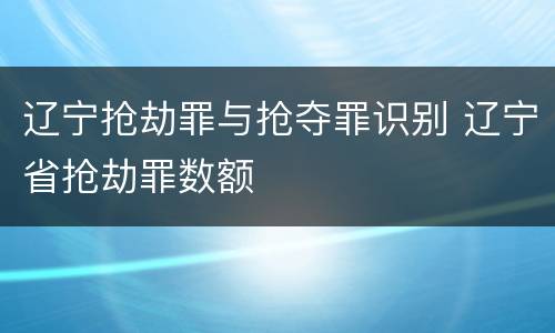 辽宁抢劫罪与抢夺罪识别 辽宁省抢劫罪数额