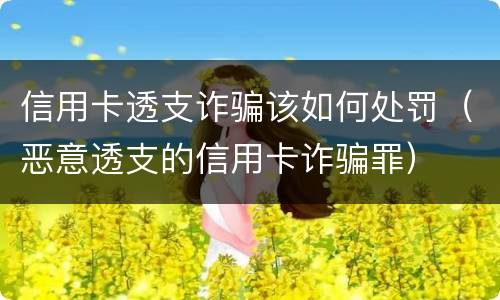 信用卡透支诈骗该如何处罚（恶意透支的信用卡诈骗罪）