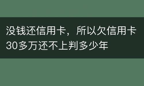 没钱还信用卡,所以欠信用卡30多万还不上判多少年