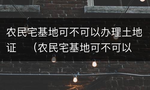 农民宅基地可不可以办理土地证	（农民宅基地可不可以办理土地证手续）