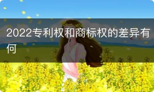 2022专利权和商标权的差异有何