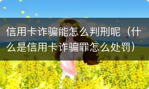 信用卡诈骗能怎么判刑呢（什么是信用卡诈骗罪怎么处罚）