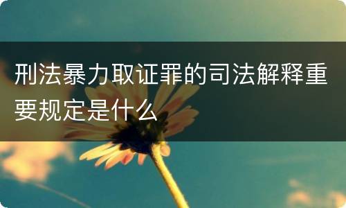 刑法暴力取证罪的司法解释重要规定是什么