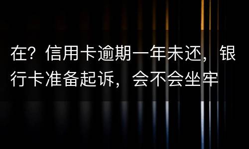 在？信用卡逾期一年未还，银行卡准备起诉，会不会坐牢