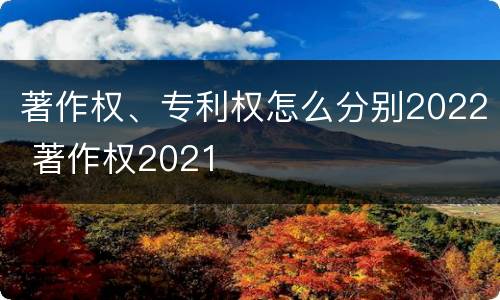 著作权、专利权怎么分别2022 著作权2021