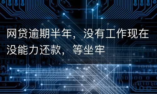 网贷逾期半年，没有工作现在没能力还款，等坐牢