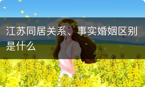 江苏同居关系、事实婚姻区别是什么