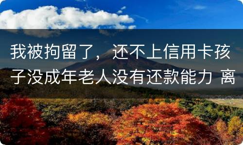 我被拘留了，还不上信用卡孩子没成年老人没有还款能力 离异