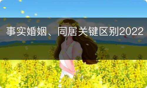 事实婚姻、同居关键区别2022