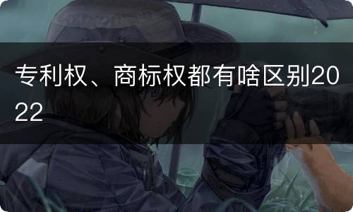 专利权、商标权都有啥区别2022