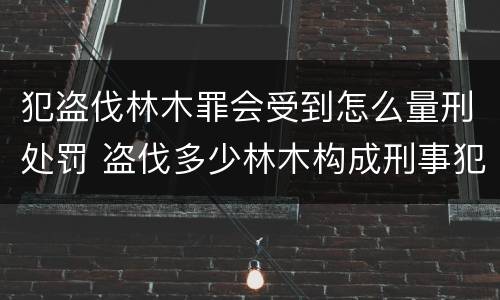 犯盗伐林木罪会受到怎么量刑处罚 盗伐多少林木构成刑事犯罪