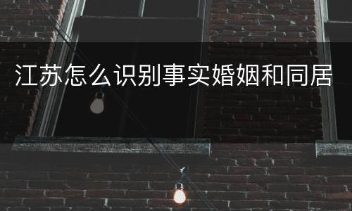 江苏怎么识别事实婚姻和同居