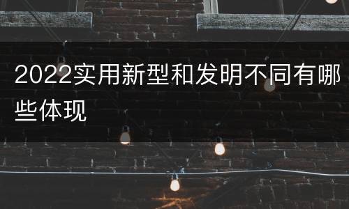 2022实用新型和发明不同有哪些体现