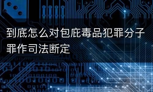 到底怎么对包庇毒品犯罪分子罪作司法断定