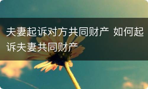 夫妻起诉对方共同财产 如何起诉夫妻共同财产