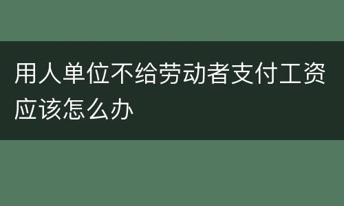 用人单位不给劳动者支付工资应该怎么办