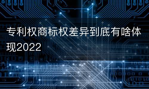 专利权商标权差异到底有啥体现2022