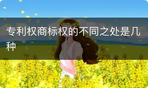 专利权商标权的不同之处是几种