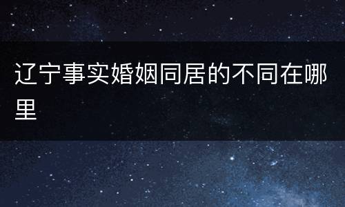 辽宁事实婚姻同居的不同在哪里