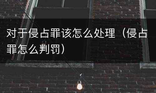 对于侵占罪该怎么处理（侵占罪怎么判罚）