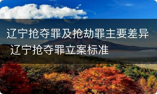 辽宁抢夺罪及抢劫罪主要差异 辽宁抢夺罪立案标准