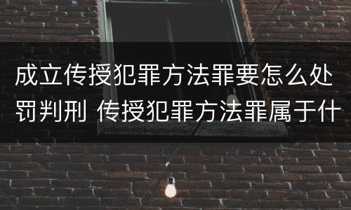 成立传授犯罪方法罪要怎么处罚判刑 传授犯罪方法罪属于什么罪