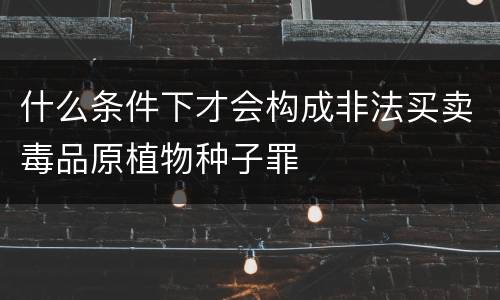什么条件下才会构成非法买卖毒品原植物种子罪