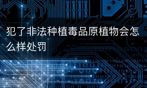 犯了非法种植毒品原植物会怎么样处罚
