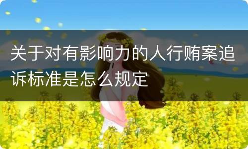 关于对有影响力的人行贿案追诉标准是怎么规定