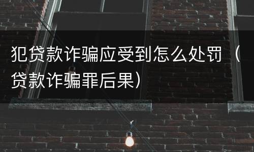 犯贷款诈骗应受到怎么处罚（贷款诈骗罪后果）