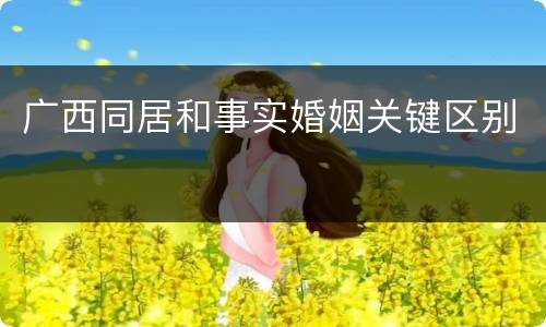 广西同居和事实婚姻关键区别