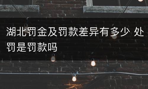 湖北罚金及罚款差异有多少 处罚是罚款吗