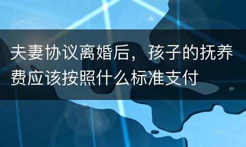 夫妻协议离婚后，孩子的抚养费应该按照什么标准支付