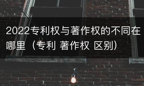 2022专利权与著作权的不同在哪里（专利 著作权 区别）