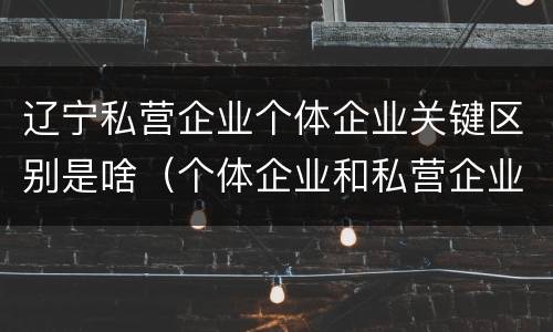 辽宁私营企业个体企业关键区别是啥（个体企业和私营企业的区别）