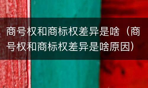 商号权和商标权差异是啥（商号权和商标权差异是啥原因）
